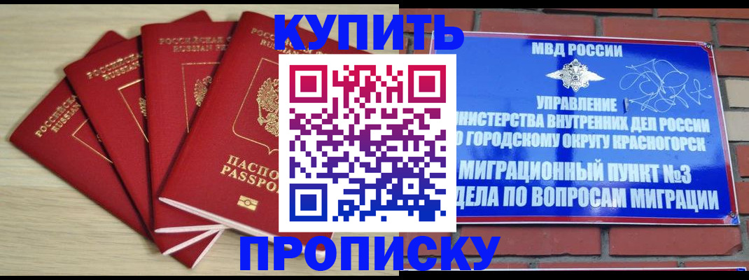 временная регистрация для всех в Балтийске